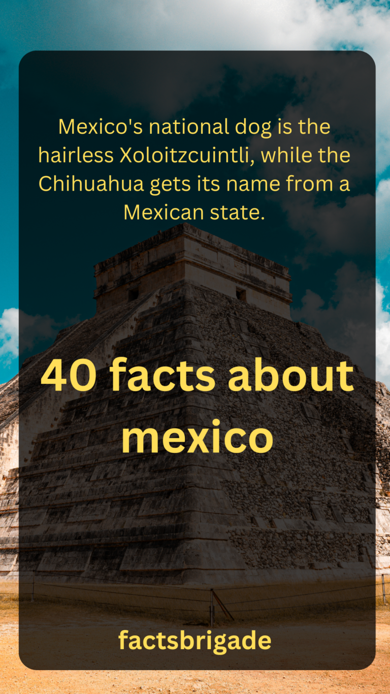 40 Fun Facts about mexico