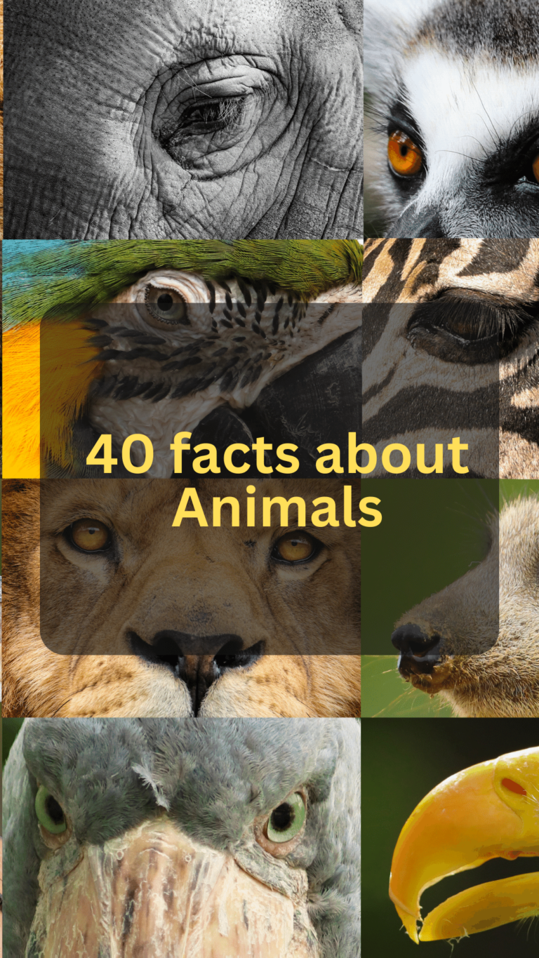 40 fun facts about animals